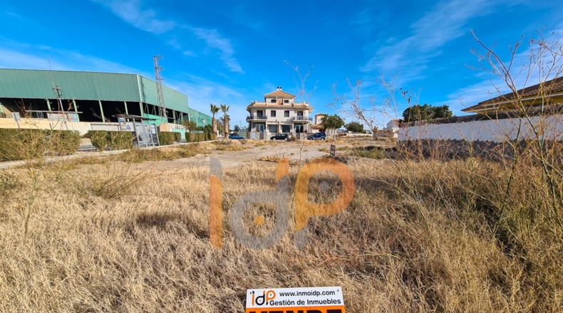 Almería - Huércal-Overa - 561m2