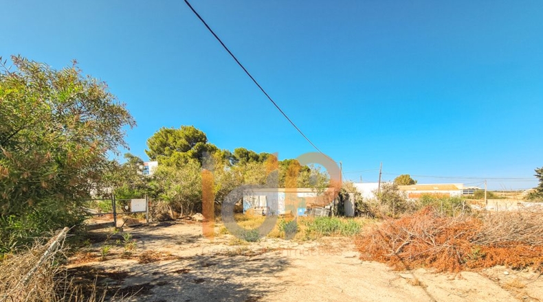 Almería - Huércal-Overa - 903m2