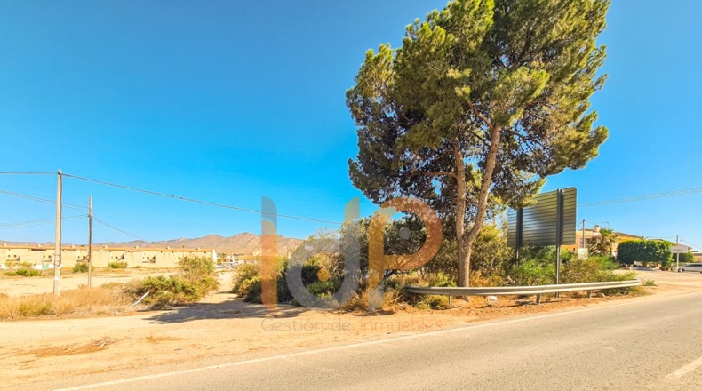 Almería - Huércal-Overa - 903m2