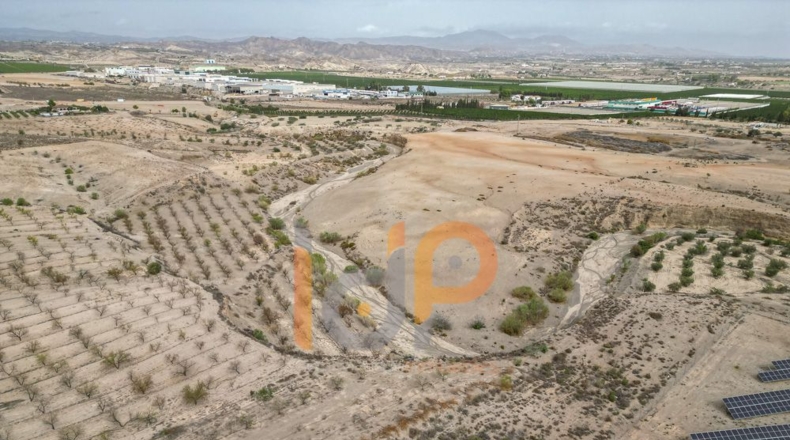 Almería - Huércal-Overa - 6194m2