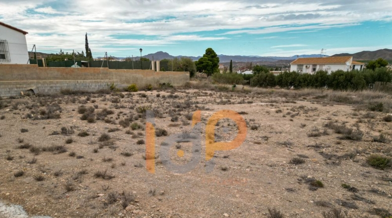 Almería - Huércal-Overa - 230m2