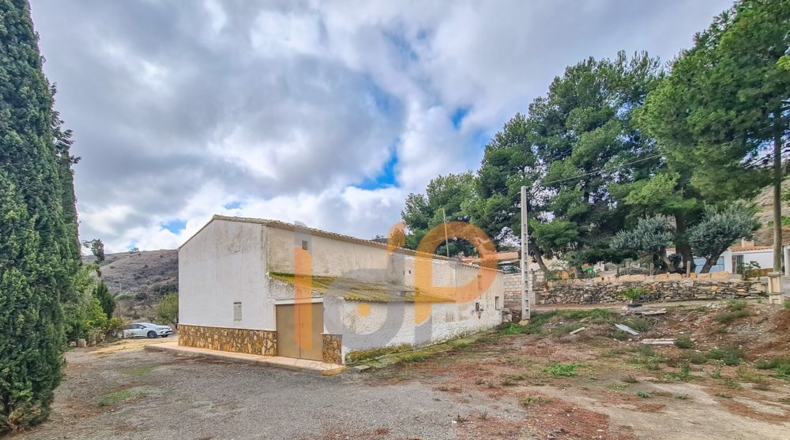 Almería - Huércal-Overa - 2500m2