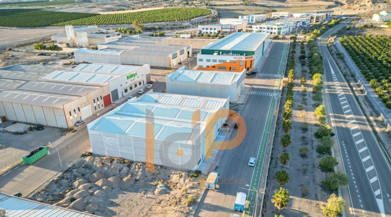 Альмерия - Huércal-Overa - 1230m2