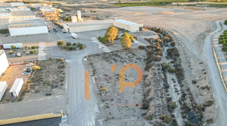 Almería - Huércal-Overa - 1350m2