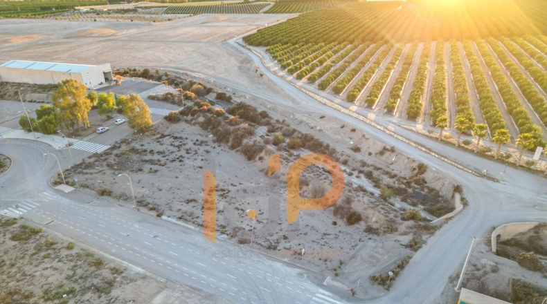 Almería - Huércal-Overa - 1350m2