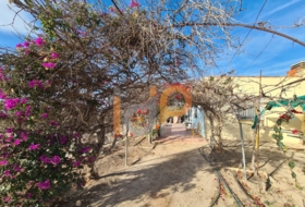 Foto 16