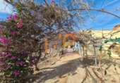 Non-developable land for sale in Huércal-Overa ref: TR382481 photo