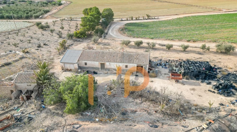 Almería - Huércal-Overa - 66000m2