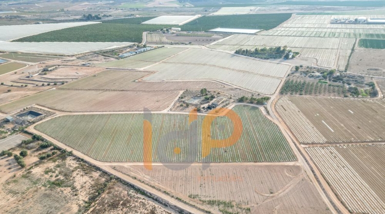 Almería - Huércal-Overa - 66000m2