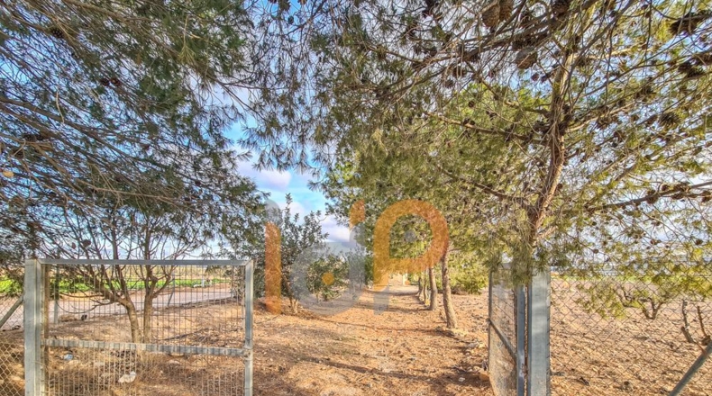 Almería - Huércal-Overa - 66000m2