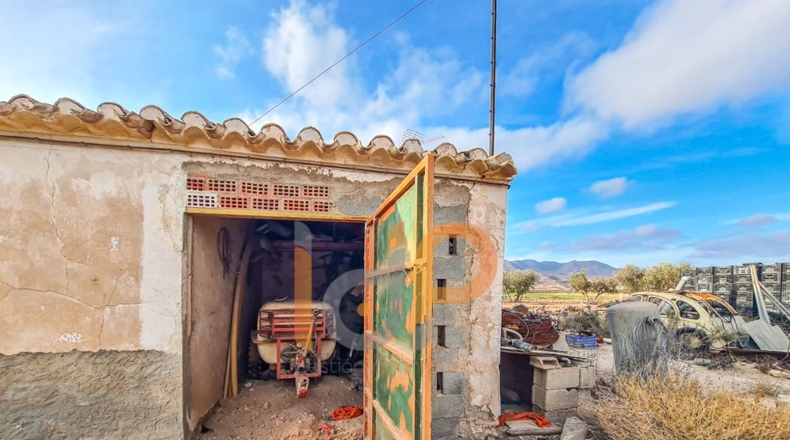 Almería - Huércal-Overa - 66000m2