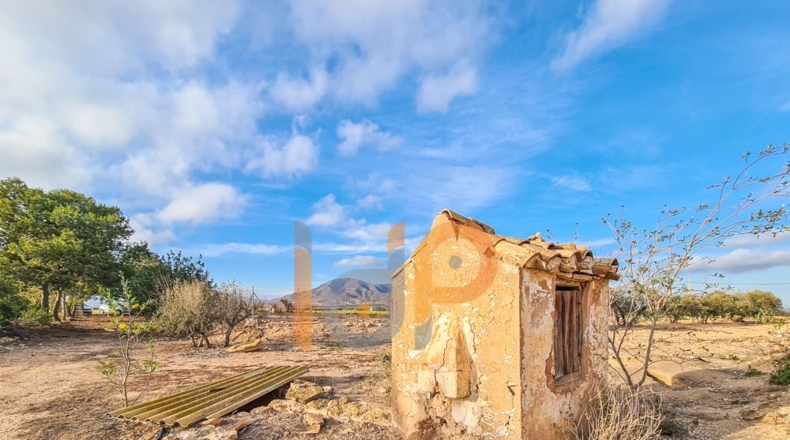 Almería - Huércal-Overa - 66000m2