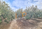 Non-developable land for sale in Huércal-Overa ref: TR382298 photo