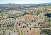 Non-developable land for sale in Huércal-Overa ref: TR382025 photo