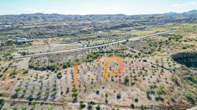 Альмерия - Huércal-Overa - 11000m2