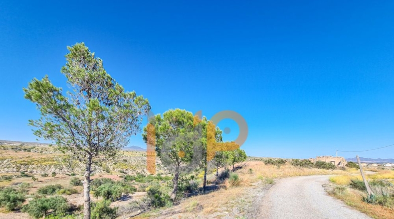 Almería - Taberno - 15000m2