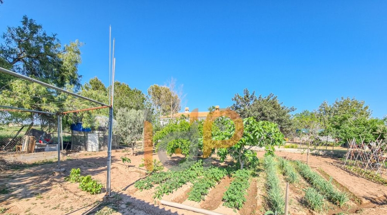 Almería - Huércal-Overa - 2600m2