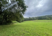 Rural estate for sale in Begonte ref: TR67880 photo