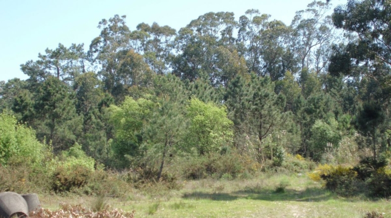 Pontevedra - Fonte de Ons - 27180m2