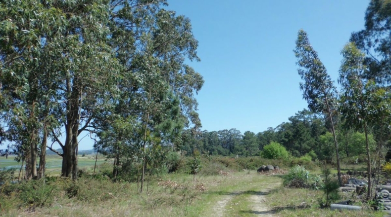 Pontevedra - Fonte de Ons - 27180m2