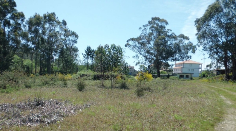 Pontevedra - Fonte de Ons - 27180m2