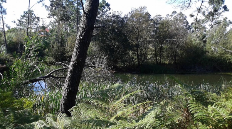Pontevedra - Fonte de Ons - 27180m2