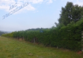 Finca rústica en venta en Lugo ref: TR187650 foto
