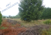 Finca rústica en venta en Lugo ref: TR187650 foto