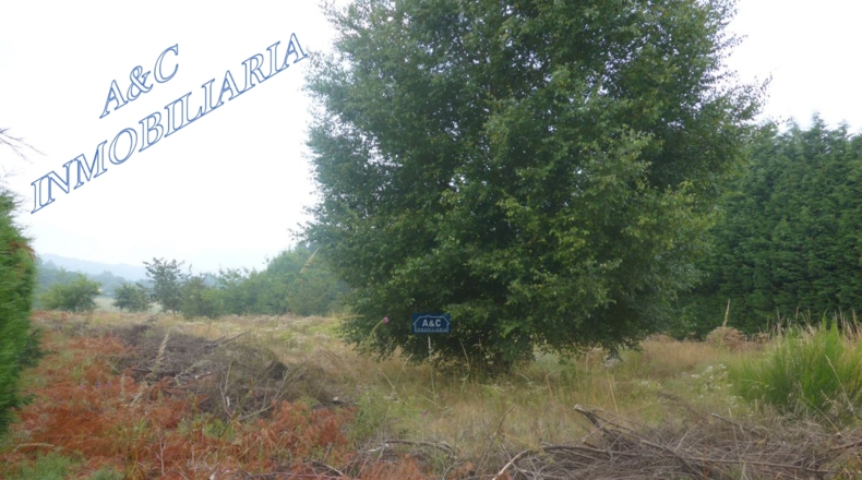 Lugo - Bacurín - 3600m2