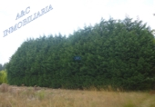 Finca rústica en venta en Lugo ref: TR187650 foto