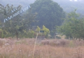 Finca rústica en venta en Lugo ref: TR187650 foto