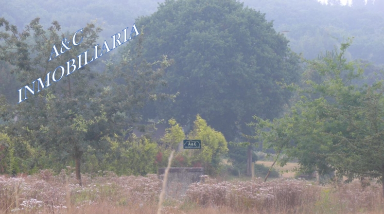Lugo - Bacurín - 3600m2