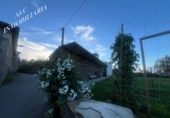 Городская земля под застройку на продажу у города Луго. Фото