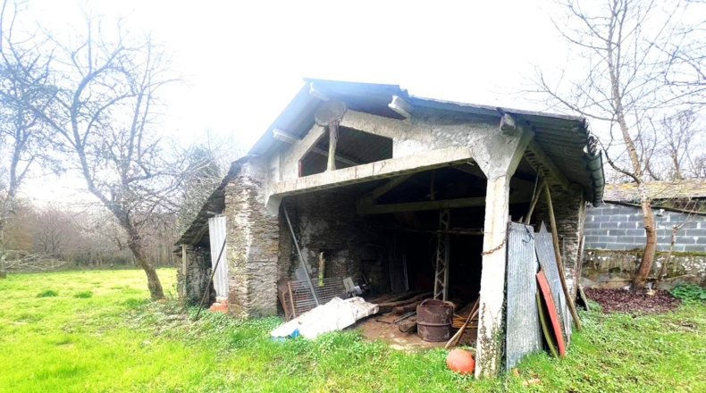 Lugo - A Pallota - 11000m2