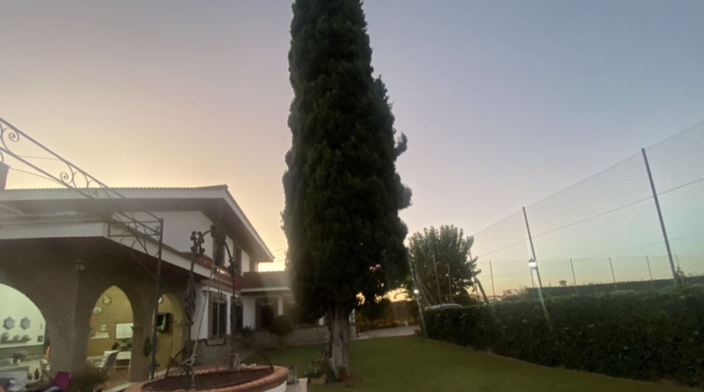 Sevilla - Espartinas - 3001m2