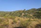 Non-developable land for sale in Casares ref: TR53683 photo