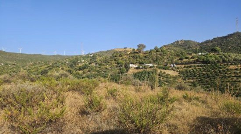 Málaga - Casares - 60000m2