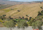 Non-developable land for sale in Casares ref: TR53683 photo