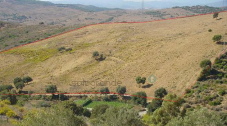 Málaga - Casares - 60000m2