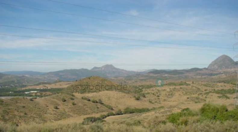 Málaga - Casares - 60000m2