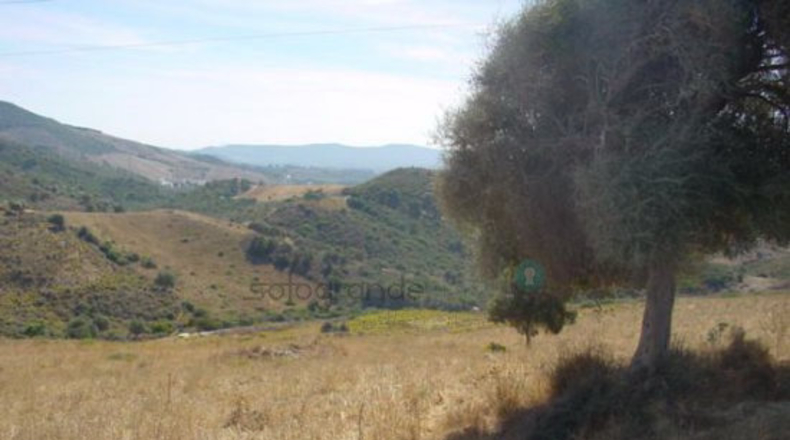 Málaga - Casares - 60000m2
