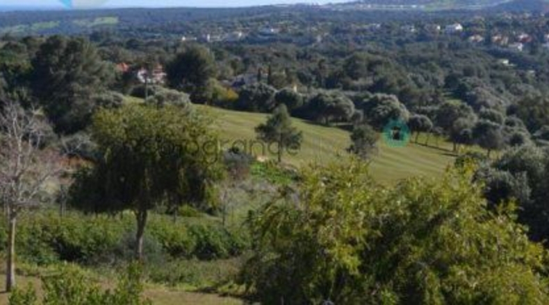 Cádiz - San Roque - 3567m2