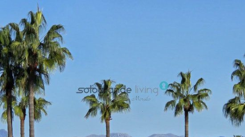 Cádiz - San Roque - 4500m2
