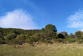 Gaucín 66000&nbsp;m² 