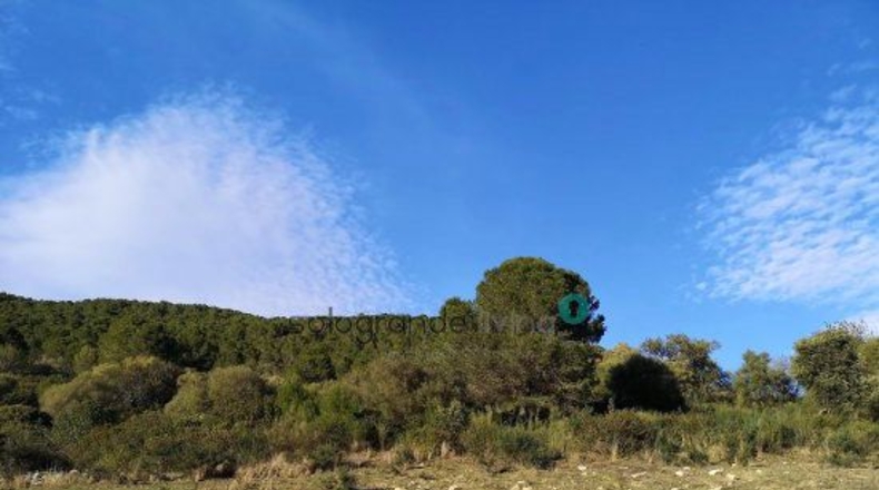 Málaga - Gaucín - 66000m2