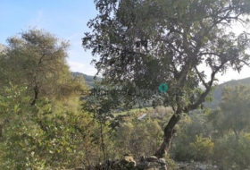 Gaucín 66000&nbsp;m² 
