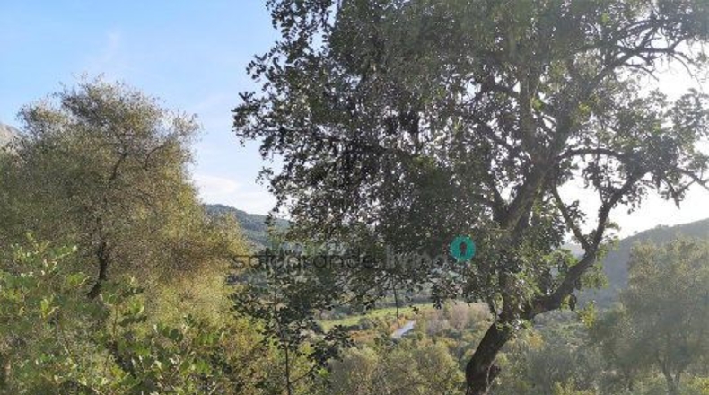 Málaga - Gaucín - 66000m2