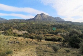 Gaucín 66000&nbsp;m² 