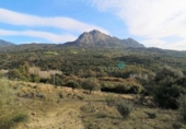 Terreny no urbanitzable en venda a Gaucín ref.: TR53668 foto