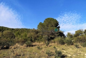 Gaucín 66000&nbsp;m² 